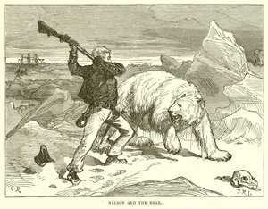 Nelson y el oso