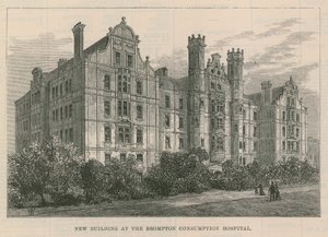 Nuevo edificio en el Hospital de Consumo de Brompton, Londres de English School
