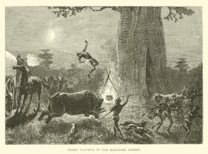 Sorpresa nocturna en el desierto de Kalahari de English School