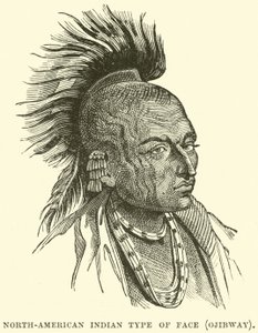 Tipo de rostro indio norteamericano, Ojibway de English School