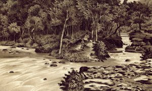 Norte de Devon: "The Watersmeet", Lynmouth (litografía)