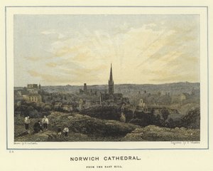 Catedral de Norwich, desde East Hill