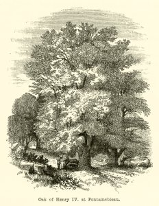 Roble de Enrique IV, en Fontainebleau (grabado)