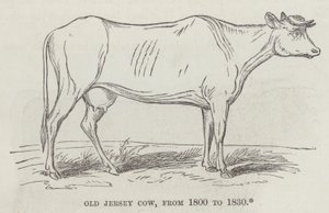 Vieja vaca Jersey, de 1800 a 1830 de English School