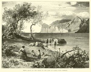 Olivares en la orilla del Lago de Garda, cerca de Torbole de English School
