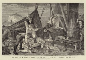 A bordo de un arrastrero de vapor en el Fiordo de Forth, la captura de English School