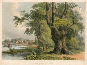 En el río Támesis, cerca de Putney, Londres