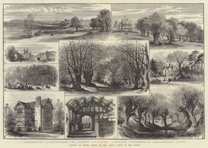 Apertura del Bosque de Epping por la Reina, Vistas en el Bosque de English School