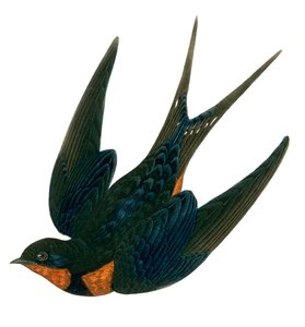 Golondrina de chimenea oriental de English School