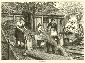 Pelado de mimbre de English School