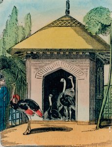 Casa de avestruces y emús en el zoológico de Londres. 1840s de English School