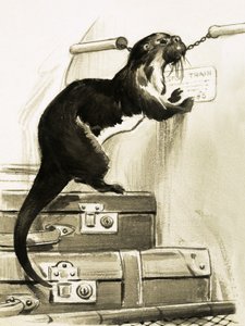 Nutria deteniendo el tren