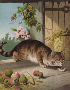 Nuestro Tom (chromolitho)