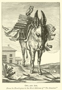 Búho y asno de English School