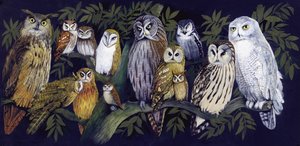 Búhos de English School