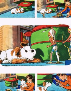 Paddy Paws de English School