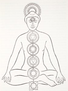 Padmasana o posición de loto