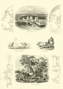 Página del Museo Pictórico de la Naturaleza Animada de English School