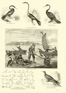 Página del Museo Pictórico de la Naturaleza Animada