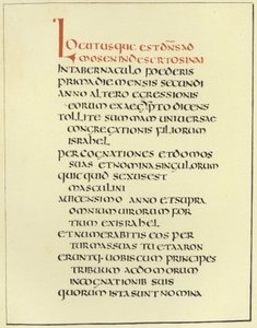 Página de la Biblia Latina Amiatina de English School