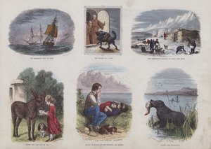 Página del Libro de Imágenes Atractivo de English School