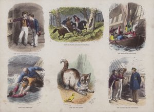 Página del Libro de Imágenes Atractivas