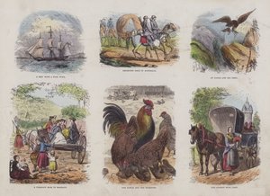 Página del Libro de Imágenes Atractivas