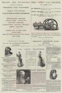 Página de Anuncios de English School