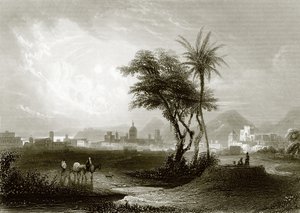 Palermo de English School