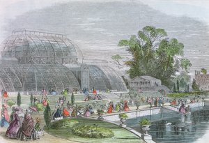 Palm House, Kew (grabado) de English School