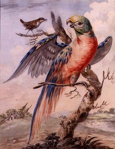 Loro