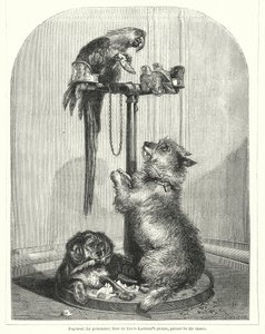 Loro y perros