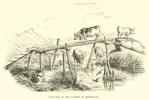 Pastos del Valle de Meyringen de English School