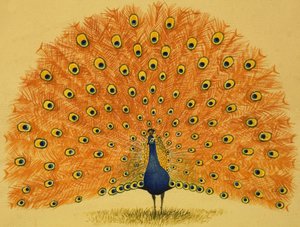 Pavo real