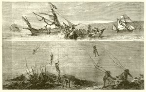 Pesca de Perlas de English School