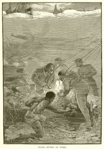 Buzos de perlas en acción de English School