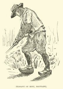 Campesino de Riec, Bretaña de English School