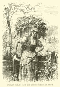 Campesina de los alrededores de Trento de English School