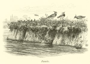 Avefrías