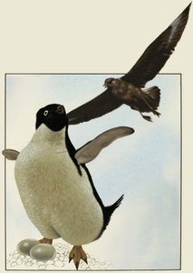Pingüino con huevos, con otro pájaro sobrevolando