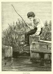 Pesca de perca de English School