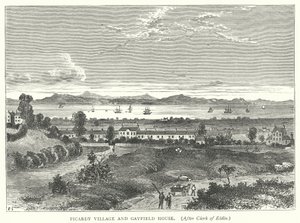Picardy Village y Gayfield House (grabado)