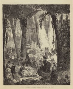 Picnic en Australia para los Oficiales del Escuadrón Volador (grabado) de English School