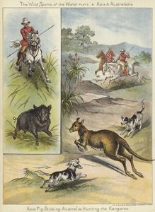 Caza de cerdos y caza del canguro