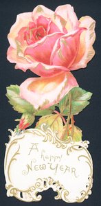 Rosa rosa, tarjeta de Año Nuevo