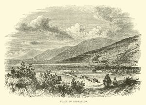Llanura de Esdraelón