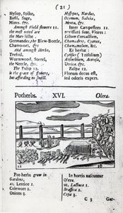 Agricultura de 