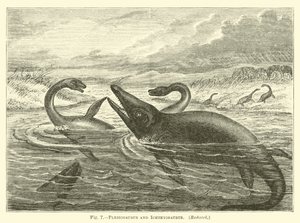 Plesiosaurio e ictiosaurio de English School