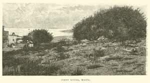 Punto Koura, Malta de English School