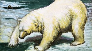 Oso polar pescando de English School